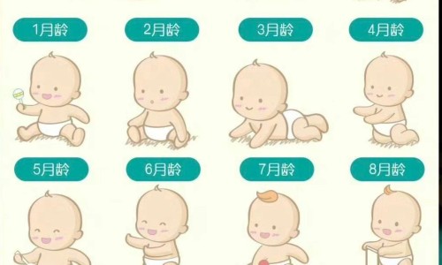 迪巧儿童钙和碳酸钙D3哪个好-迪巧婴儿碳酸钙d3颗粒吗-专业迪巧碳酸钙d3颗粒正确吃法平台-迪巧小儿碳酸钙好不好